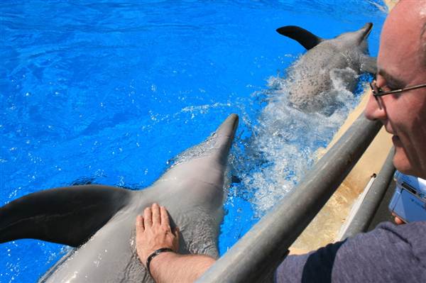 Dolphin Marine Magic (27/02/2013 10:43:15 PM)