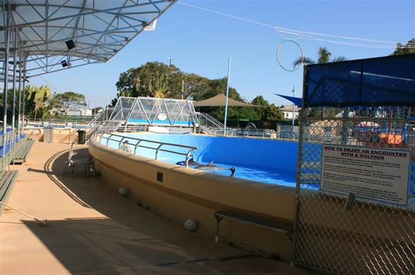 Dolphin Marine Magic (27/02/2013 10:44:17 PM)