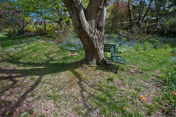 Lady Fairfax Gardens (28/02/2013 10:11:31 AM)