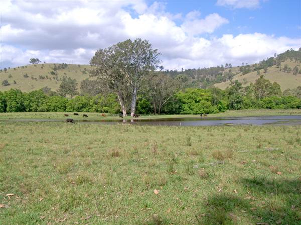 Dungog Area (28/02/2013 11:59:40 AM)