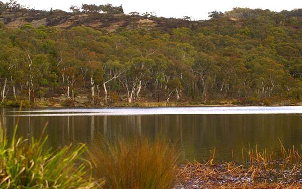 Dunns Swamp (28/02/2013 12:54:20 PM)