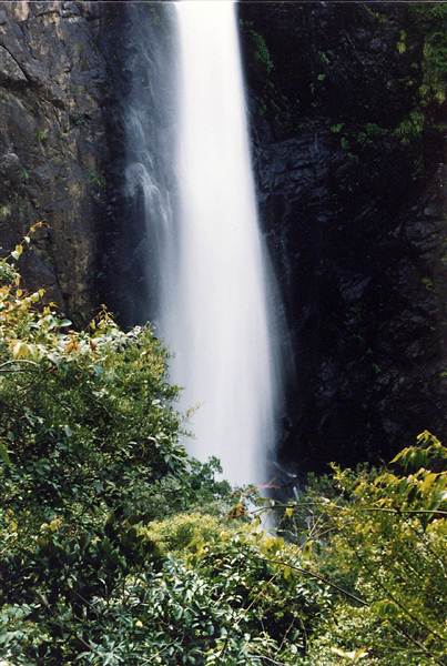 Ellenborough Falls (28/02/2013 4:33:44 PM)