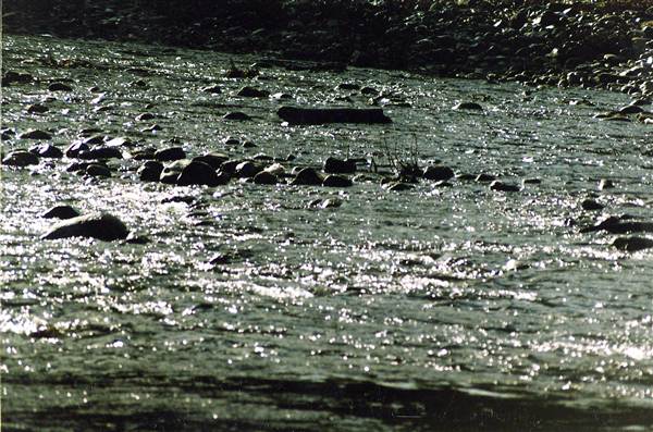 Bellinger River (28/02/2013 8:56:11 PM)