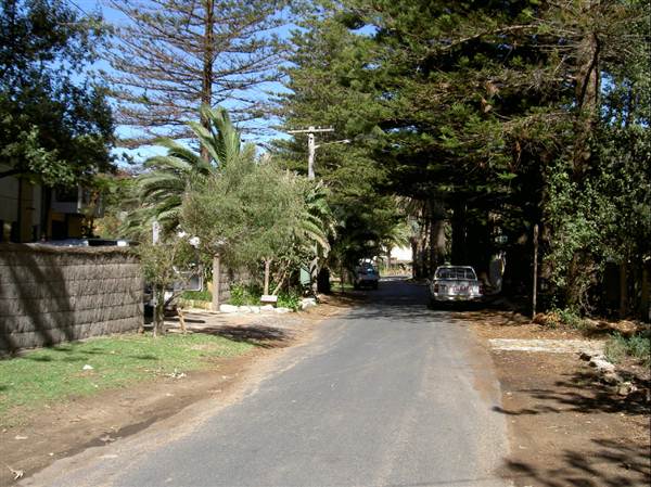 Bilgola Beach (1/03/2013 10:14:04 AM)