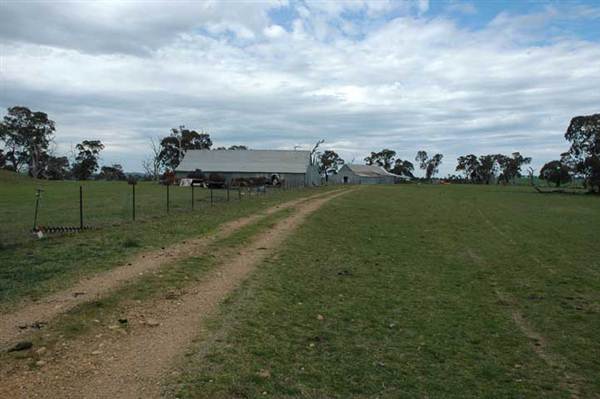 Boorowa (1/03/2013 11:29:56 AM)
