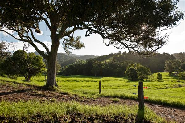 Jamberoo (1/03/2013 11:34:01 AM)