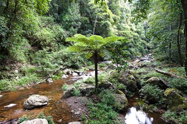 Jamberoo (1/03/2013 11:35:10 AM)
