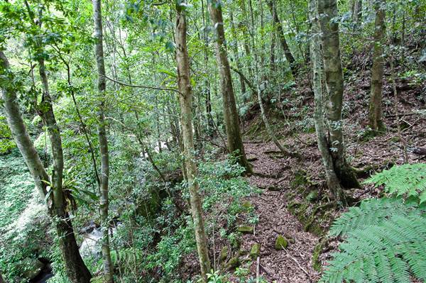 Jamberoo (1/03/2013 11:35:36 AM)