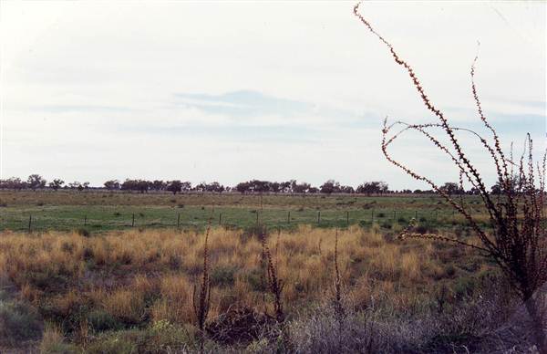 Bourke & Environs (1/03/2013 11:41:03 AM)