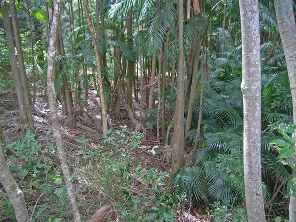 Private Property (1/03/2013 11:47:56 AM)