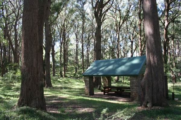 Bowral - Southern Highlands (1/03/2013 11:50:09 AM)