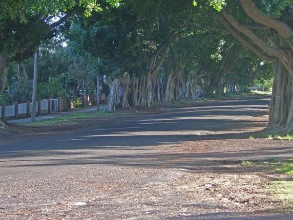 Briemba St, Grafton (1/03/2013 12:06:43 PM)
