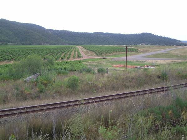Broke vineyards (1/03/2013 12:15:00 PM)