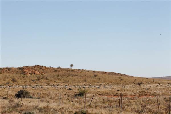 BROKEN HILL, OUTCROPS & SURROUNDS 2012 (2/03/2013 3:12:43 PM)