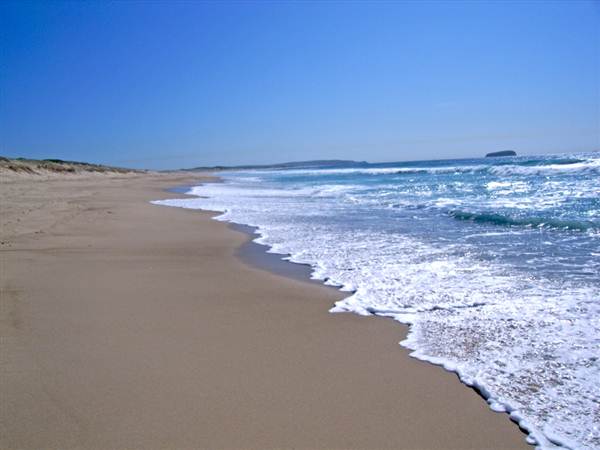 Budgewoi (2/03/2013 8:14:01 PM)