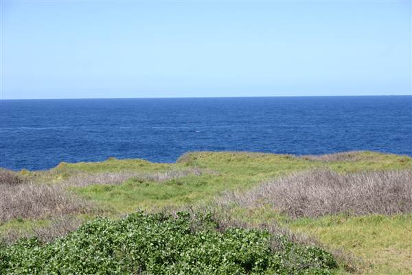 Cape Banks (3/03/2013 8:27:32 AM)