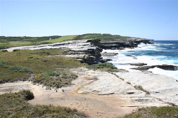 Cape Banks (3/03/2013 8:29:45 AM)