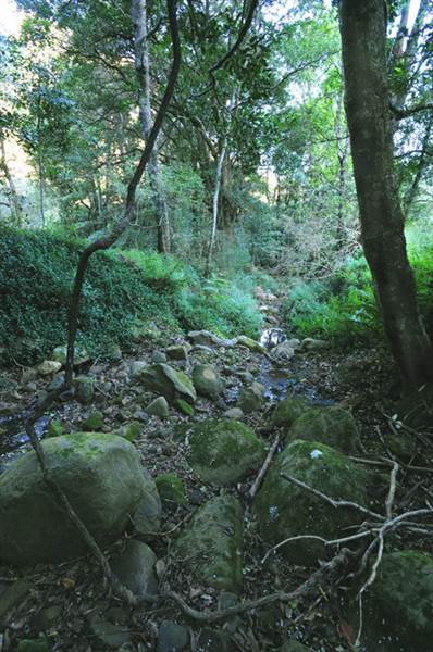 Canyon Park (3/03/2013 8:40:08 AM)