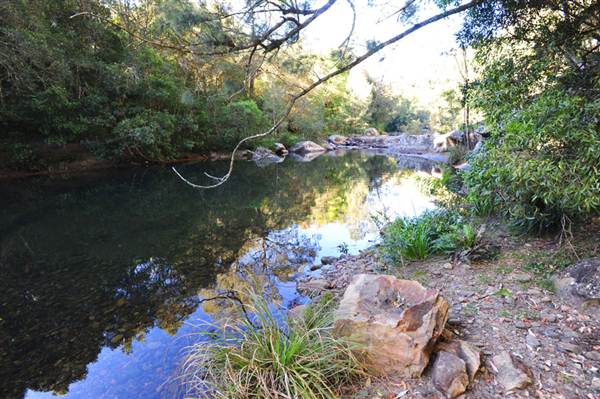 Canyon Park (3/03/2013 8:40:34 AM)