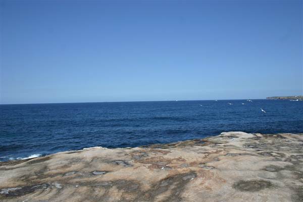 Clovelly Bay (3/03/2013 4:34:29 PM)