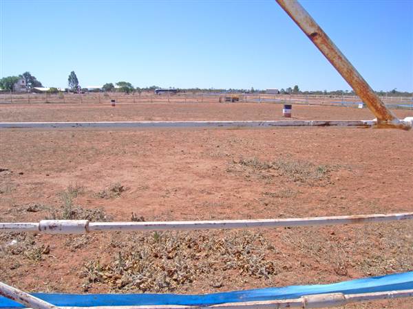 Cobar (4/03/2013 9:33:29 AM)
