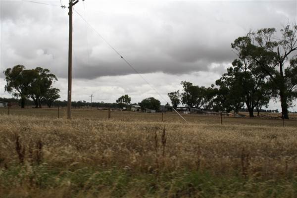 Collingullie (4/03/2013 10:37:35 AM)