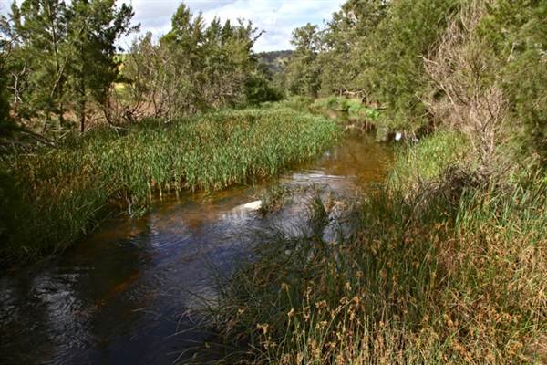 Cox's River at Duddawarra Bridge (4/03/2013 11:35:47 AM)