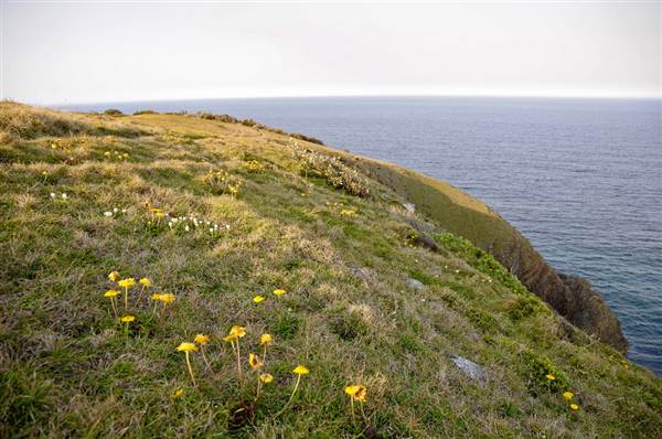 Crescent Head (4/03/2013 11:38:11 AM)