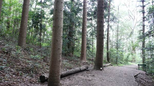 Cumberland State Forest (4/03/2013 12:05:52 PM)