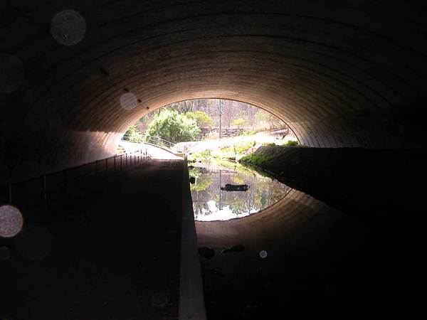 Underpass - Cheltenham (4/03/2013 2:33:21 PM)