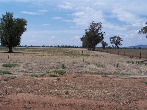 Gilgandra Rural Area (4/03/2013 4:40:29 PM)