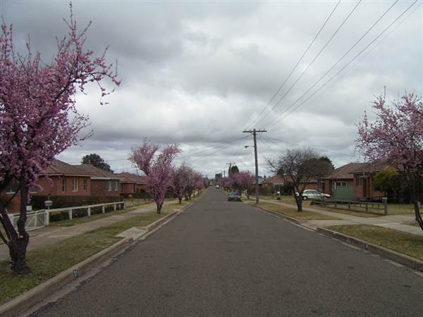 Goulburn (5/03/2013 10:35:30 AM)