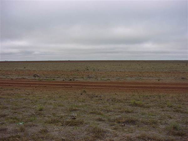 Hay Plains (5/03/2013 1:29:38 PM)