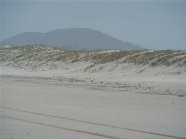 Killick Beach & Sand Dunes - Hat Head National Park (5/03/2013 7:30:02 PM)