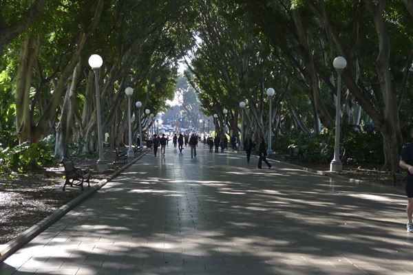 Hyde Park (5/03/2013 8:13:44 PM)