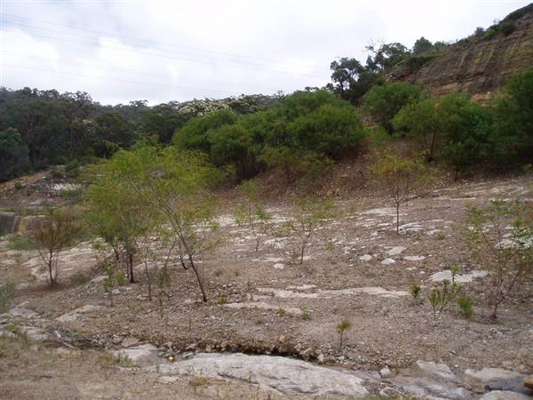 Kimbriki Resource Recovery Centre (6/03/2013 11:13:05 AM)