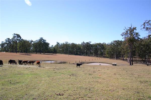 John Scott Kundabung Rodeo Grounds / Stables (6/03/2013 11:29:33 AM)