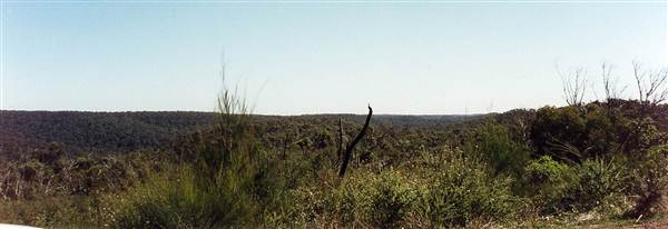 Ku-ring-gai Chase National Park (6/03/2013 11:31:03 AM)