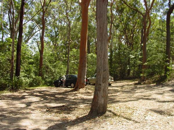 Lane Cove National Park (6/03/2013 12:13:32 PM)