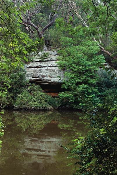 Lane Cove National Park (6/03/2013 12:15:12 PM)