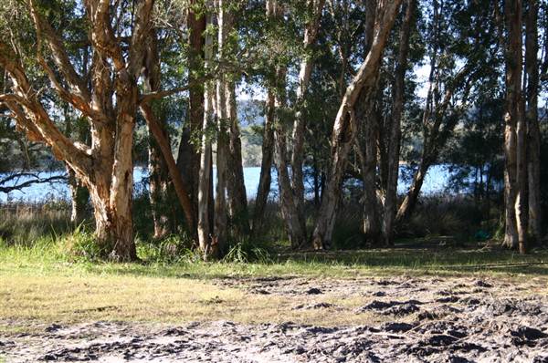 Myall Lakes National Park (6/03/2013 3:24:33 PM)