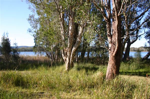 Myall Lakes National Park (6/03/2013 3:24:58 PM)