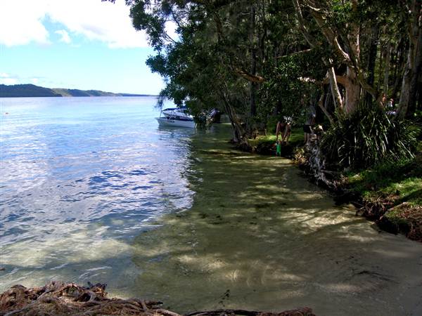 Myall Lakes National Park (6/03/2013 3:31:52 PM)