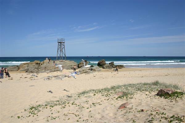 Redhead Beach (6/03/2013 4:13:58 PM)
