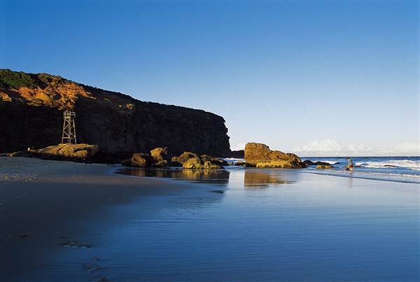 Redhead Beach (6/03/2013 4:14:19 PM)