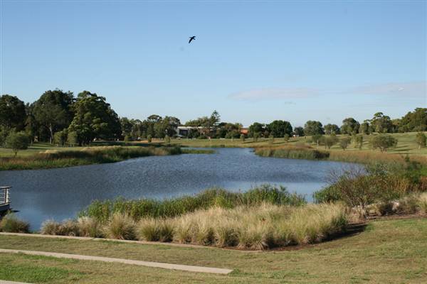 Sydney Park (6/03/2013 4:46:22 PM)