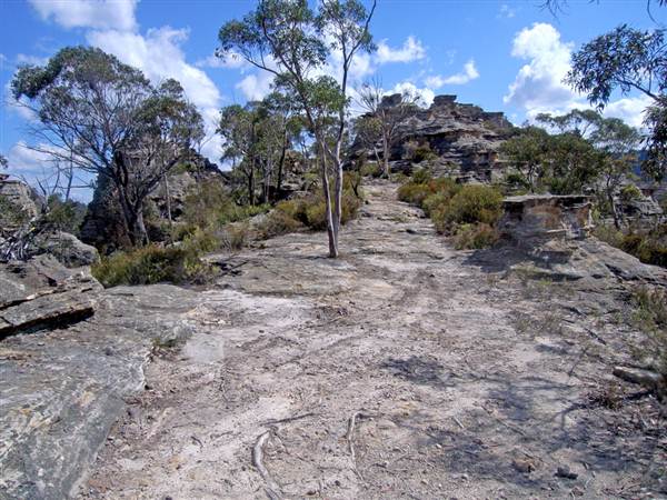 Lithgow Cliffs (7/03/2013 9:39:24 AM)