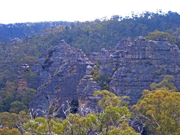 Lithgow Cliffs (7/03/2013 9:40:03 AM)