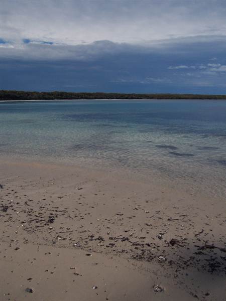 Beecroft Peninsula Long Beach (7/03/2013 10:00:04 AM)