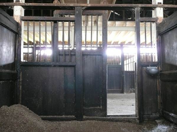 Lomar Park Stud (7/03/2013 10:02:13 AM)